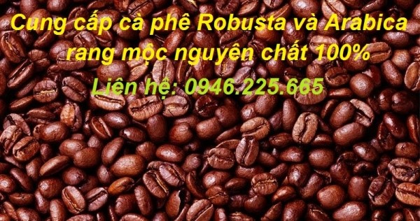 IMG-BLOG